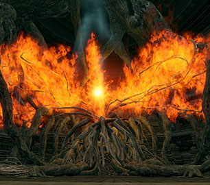Bed of Chaos